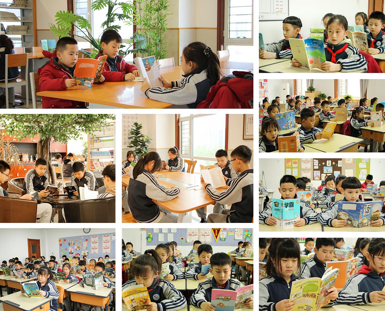 1756520911228850.jpg 海量阅读.jpg